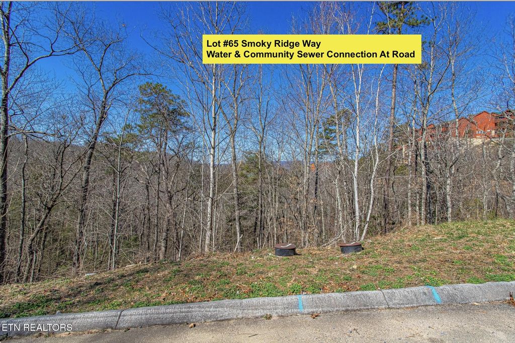Photo of Lot #65 Smoky Ridge Way, Sevierville, TN 37862 (MLS # 1311969)