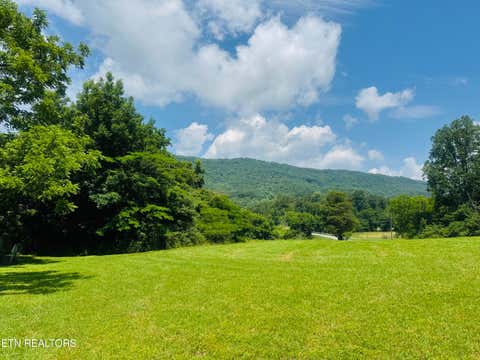 Tiny photo for 1183 Old Lake City Hwy, Clinton, TN 37716 (MLS # 1344144)