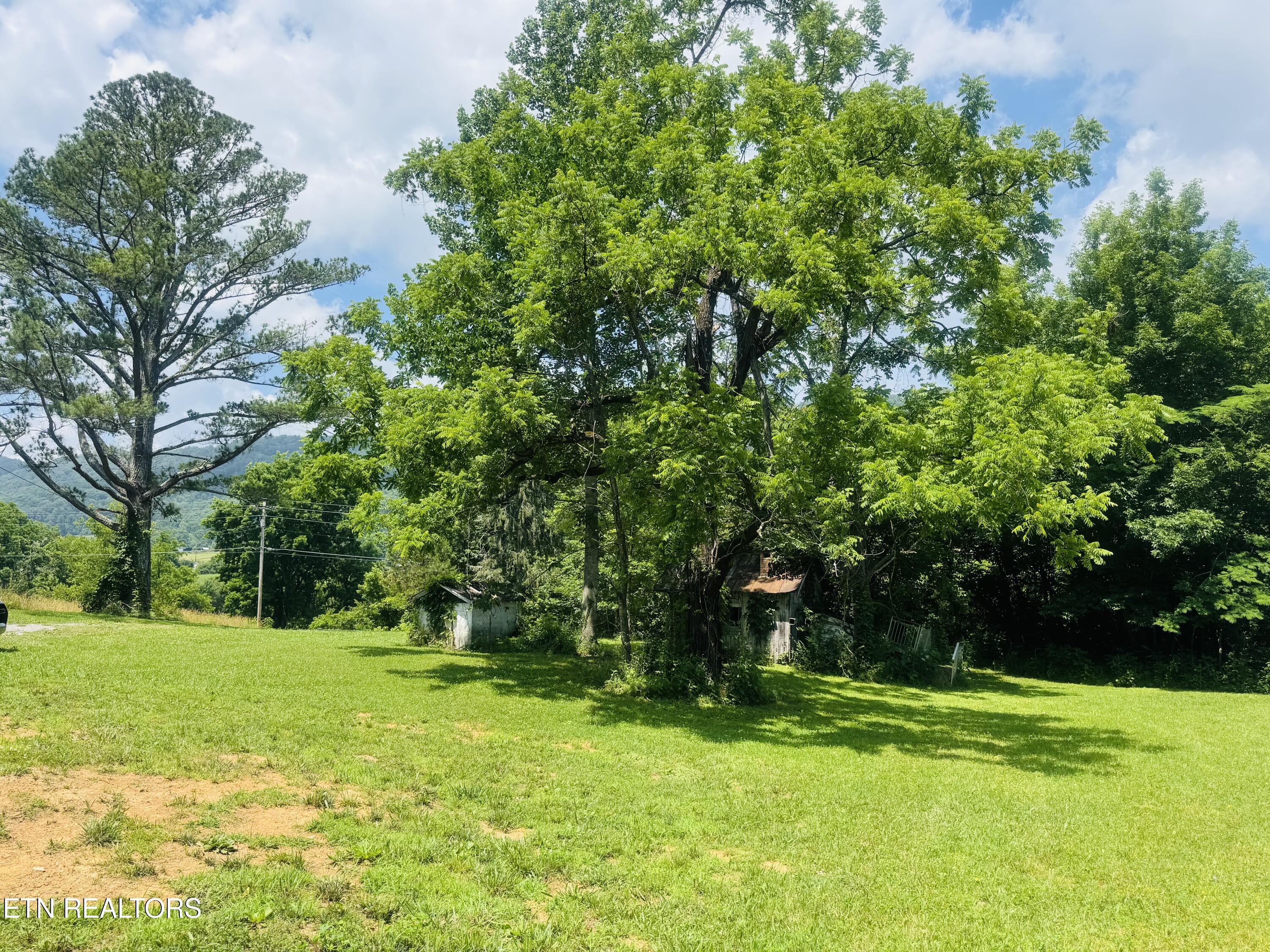 1183 Old Lake City Hwy
