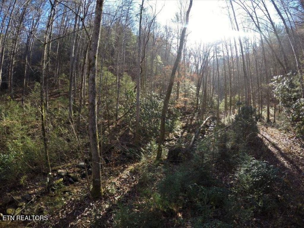 Photo of 303 Chestnut Valley Lane, Vonore, TN 37885 (MLS # 1299686)