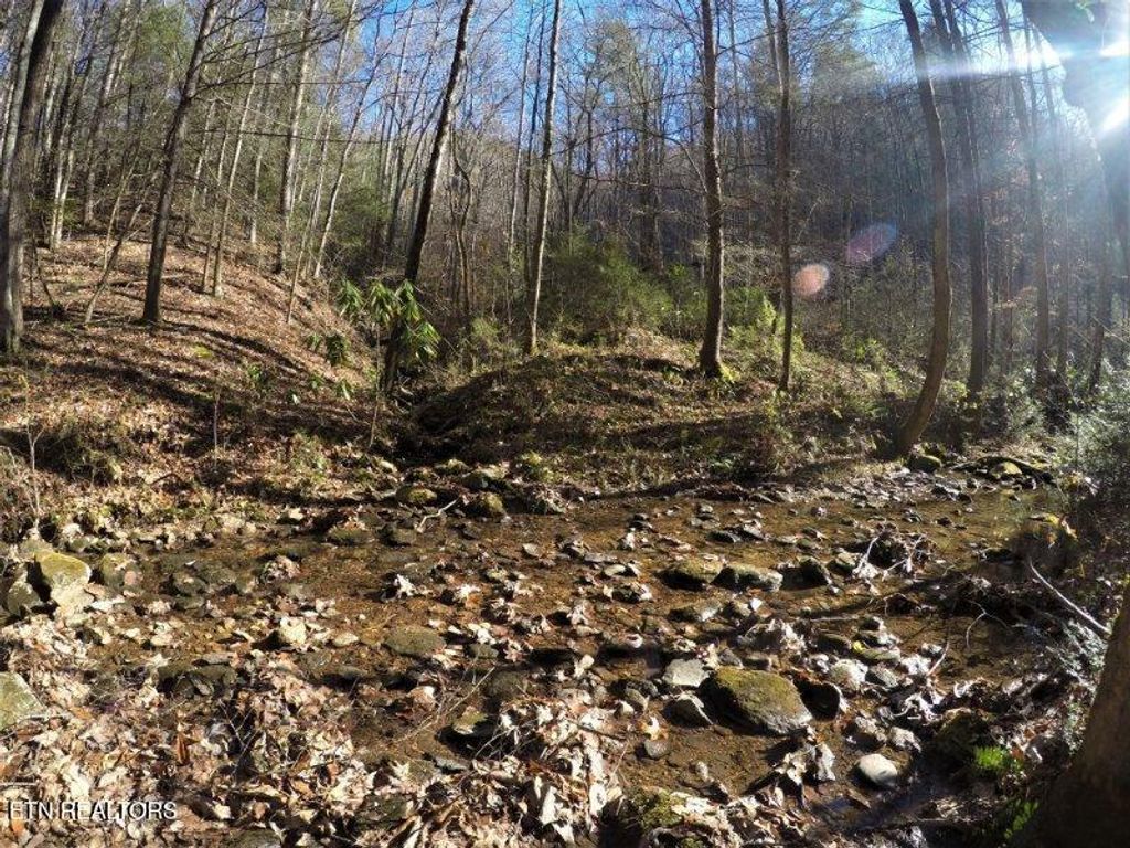 Photo of 303 Chestnut Valley Lane, Vonore, TN 37885 (MLS # 1299686)