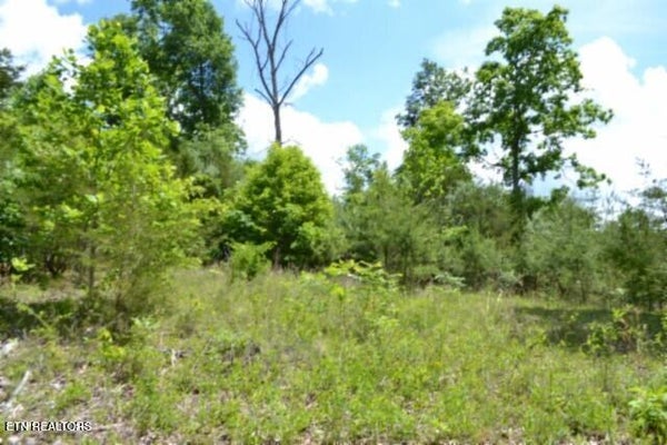 31 BEAUCHAMP RD, BURKESVILLE, KY 42717 - Image 83fdbfec8c75e2104cb115bb71f1e75b/727633026