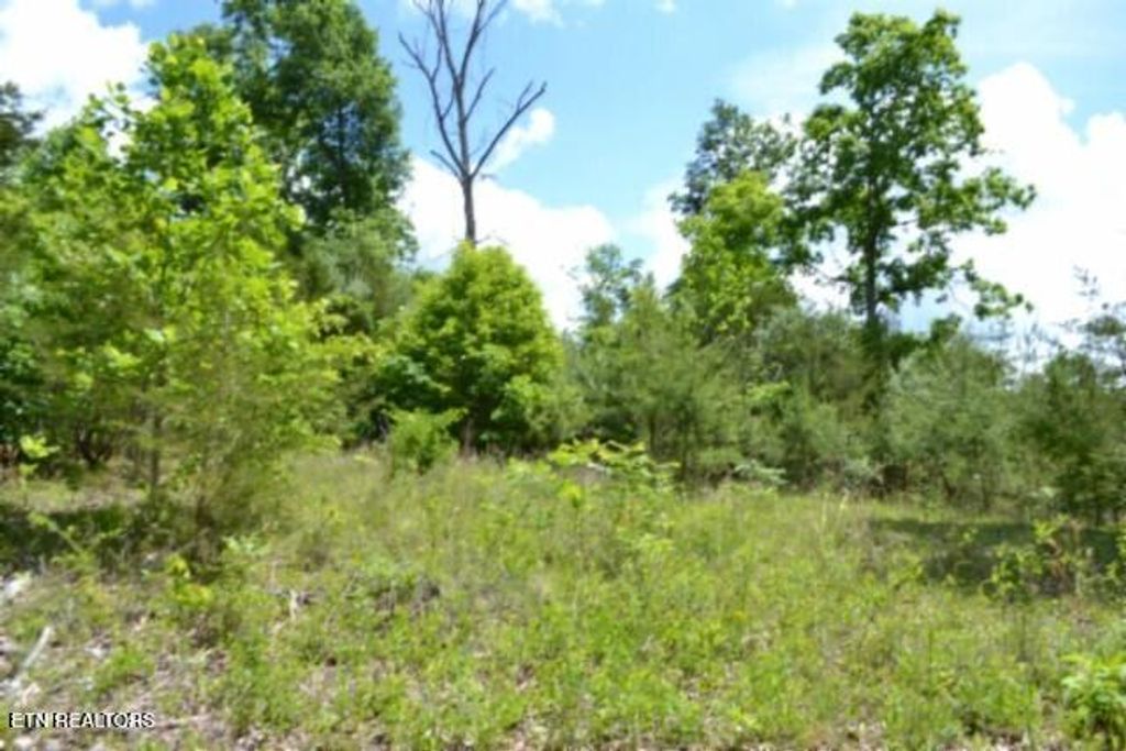 Photo of 3122 Beauchamp Rd, Burkesville, KY 42717 (MLS # 1340668)