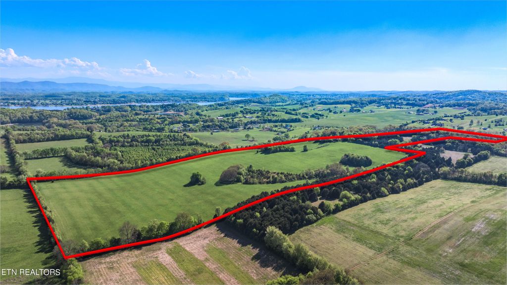 Photo of 756 Highway 113, White Pine, TN 37890 (MLS # 1259847)