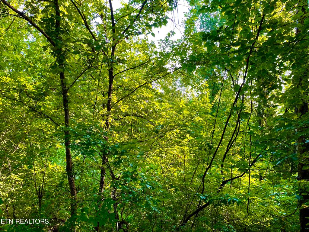 Photo of 000 Highlands Bluff, Tellico Plains, TN 37385 (MLS # 1252594)