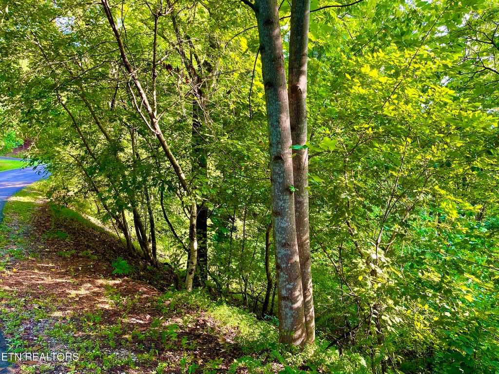 Photo of 000 Highlands Bluff, Tellico Plains, TN 37385 (MLS # 1252594)