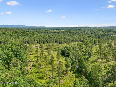Tiny photo for Sheep Ranch Rd #24, Robbins, TN 37852 (MLS # 1355919)