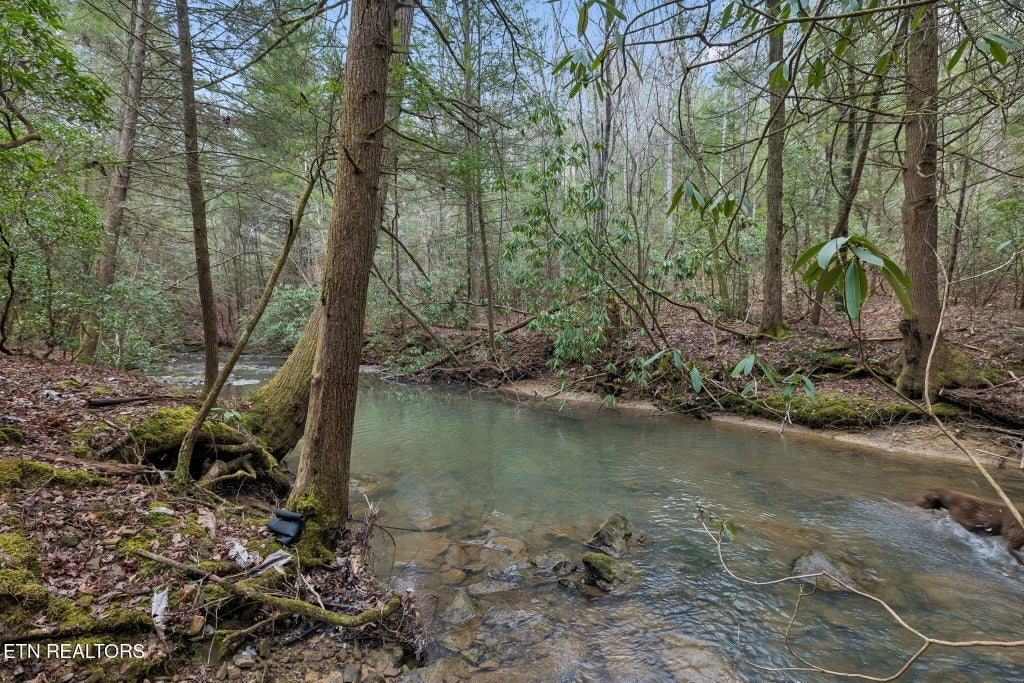 Photo of Sheep Ranch Rd #24, Robbins, TN 37852 (MLS # 1355919)