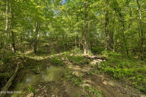 Tiny photo for Sheep Ranch Rd #24, Robbins, TN 37852 (MLS # 1355919)