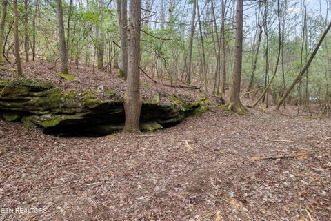 Tiny photo for Sheep Ranch Rd #24, Robbins, TN 37852 (MLS # 1355919)