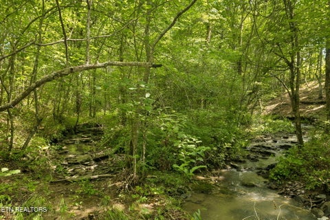 Tiny photo for Sheep Ranch Rd #24, Robbins, TN 37852 (MLS # 1355919)