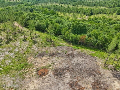 Tiny photo for Sheep Ranch Rd #24, Robbins, TN 37852 (MLS # 1355919)