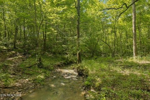 Tiny photo for Sheep Ranch Rd #24, Robbins, TN 37852 (MLS # 1355919)