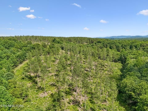 Tiny photo for Sheep Ranch Rd #24, Robbins, TN 37852 (MLS # 1355919)
