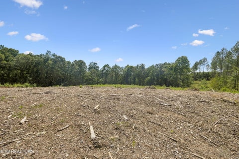 Tiny photo for Sheep Ranch Rd #24, Robbins, TN 37852 (MLS # 1355919)