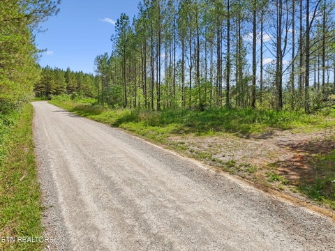 Tiny photo for Sheep Ranch Rd #24, Robbins, TN 37852 (MLS # 1355919)