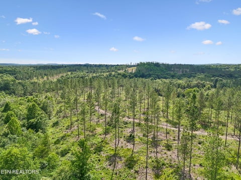 Tiny photo for Sheep Ranch Rd #24, Robbins, TN 37852 (MLS # 1355919)