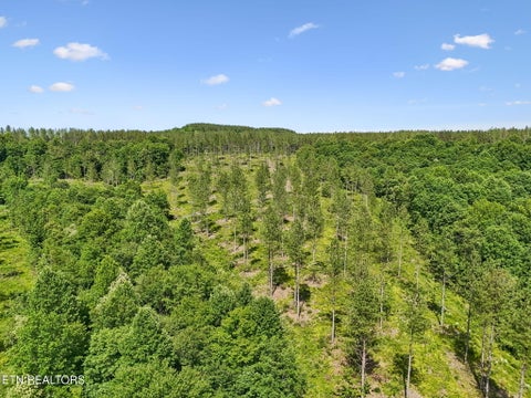 Tiny photo for Sheep Ranch Rd #24, Robbins, TN 37852 (MLS # 1355919)