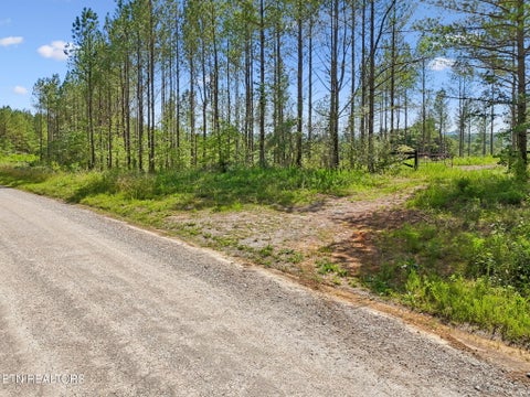 Tiny photo for Sheep Ranch Rd #24, Robbins, TN 37852 (MLS # 1355919)