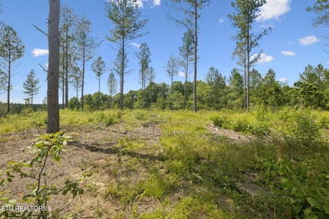 Tiny photo for Sheep Ranch Rd #24, Robbins, TN 37852 (MLS # 1355919)
