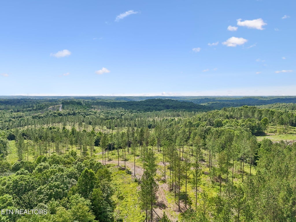 Photo of Sheep Ranch Rd #24, Robbins, TN 37852 (MLS # 1355919)