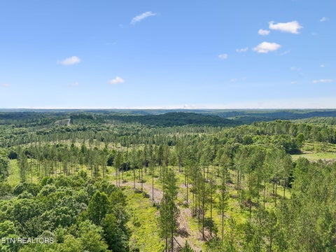 Tiny photo for Sheep Ranch Rd #24, Robbins, TN 37852 (MLS # 1355919)