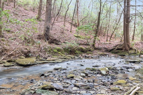 Tiny photo for Sheep Ranch Rd #24, Robbins, TN 37852 (MLS # 1355919)