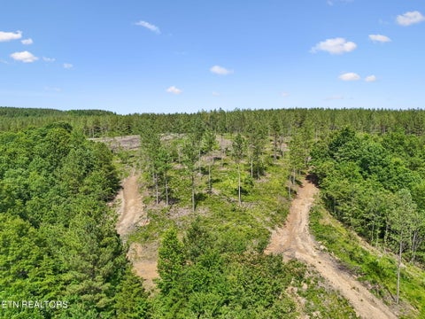 Tiny photo for Sheep Ranch Rd #24, Robbins, TN 37852 (MLS # 1355919)