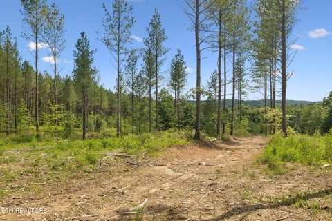 Tiny photo for Sheep Ranch Rd #24, Robbins, TN 37852 (MLS # 1355919)