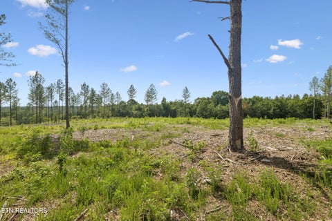 Tiny photo for Sheep Ranch Rd #24, Robbins, TN 37852 (MLS # 1355919)