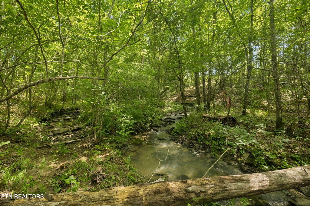 Photo of Sheep Ranch Rd #24, Robbins, TN 37852 (MLS # 1355919)