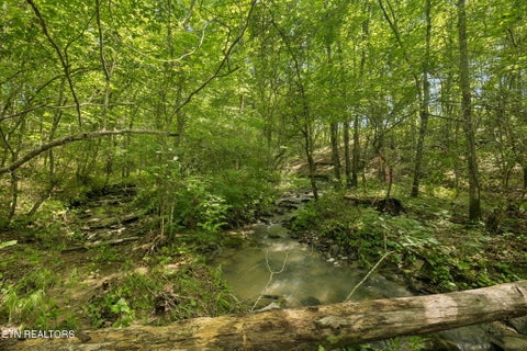 Photo of Sheep Ranch Rd #24, Robbins, TN 37852 (MLS # 1355919)