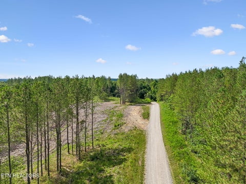Tiny photo for Sheep Ranch Rd #24, Robbins, TN 37852 (MLS # 1355919)