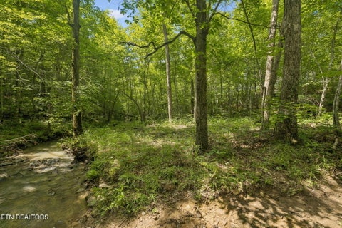 Tiny photo for Sheep Ranch Rd #24, Robbins, TN 37852 (MLS # 1355919)