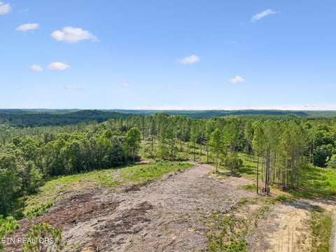 Tiny photo for Sheep Ranch Rd #24, Robbins, TN 37852 (MLS # 1355919)