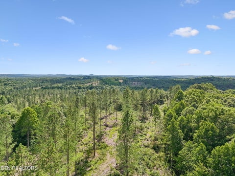Tiny photo for Sheep Ranch Rd #24, Robbins, TN 37852 (MLS # 1355919)