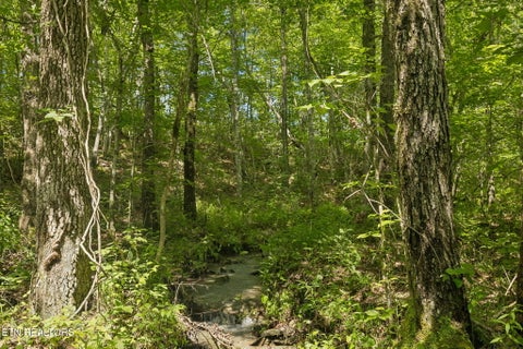 Tiny photo for Sheep Ranch Rd #24, Robbins, TN 37852 (MLS # 1355919)