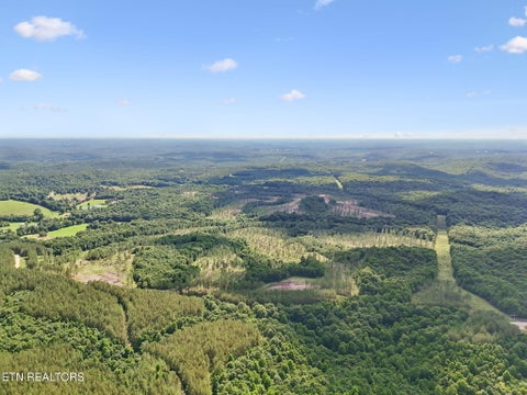 Tiny photo for Sheep Ranch Rd #24, Robbins, TN 37852 (MLS # 1355919)