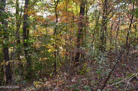 Tiny photo for Whitman Hollow Rd, LaFollette, TN 37766 (MLS # 1329000)