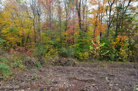 Photo of Whitman Hollow Rd, LaFollette, TN 37766 (MLS # 1329000)
