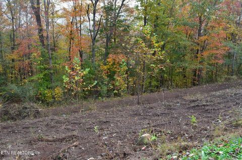 Tiny photo for Whitman Hollow Rd, LaFollette, TN 37766 (MLS # 1329000)