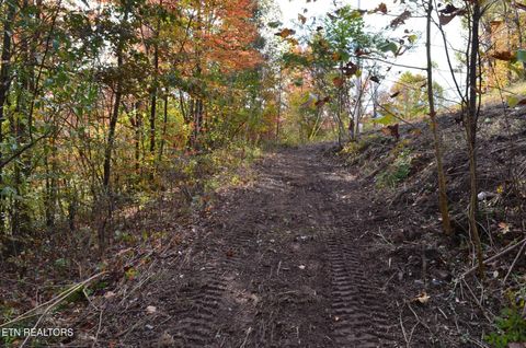 Tiny photo for Whitman Hollow Rd, LaFollette, TN 37766 (MLS # 1329000)