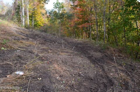 Tiny photo for Whitman Hollow Rd, LaFollette, TN 37766 (MLS # 1329000)