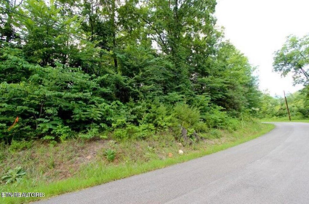 Photo of 12 Tomahawk Drive, Cosby, TN 37722 (MLS # 1296588)