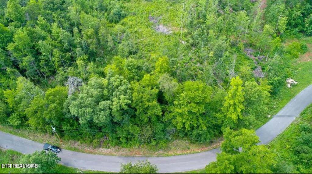 Photo of 12 Tomahawk Drive, Cosby, TN 37722 (MLS # 1296588)
