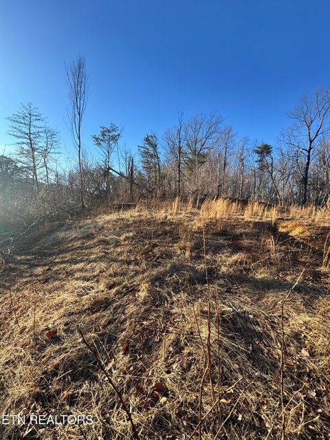 Tiny photo for 3361 Sugar Maple Loop Rd, Sevierville, TN 37862 (MLS # 1326250)