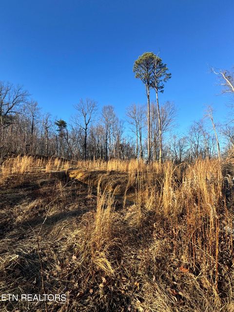 Tiny photo for 3361 Sugar Maple Loop Rd, Sevierville, TN 37862 (MLS # 1326250)