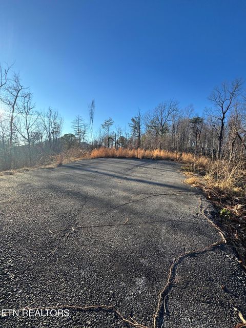 Tiny photo for 3361 Sugar Maple Loop Rd, Sevierville, TN 37862 (MLS # 1326250)