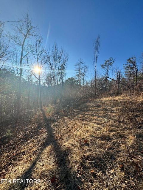 Tiny photo for 3361 Sugar Maple Loop Rd, Sevierville, TN 37862 (MLS # 1326250)