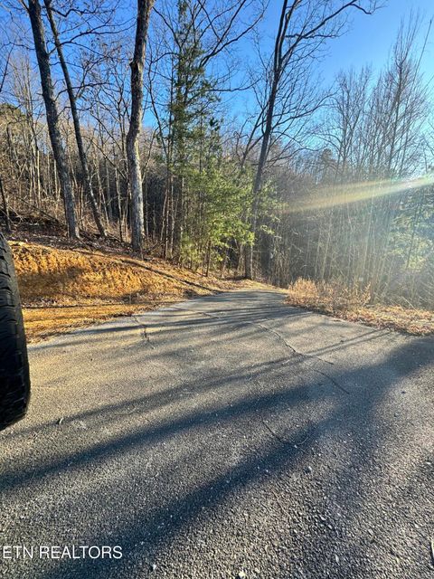 Tiny photo for 3361 Sugar Maple Loop Rd, Sevierville, TN 37862 (MLS # 1326250)